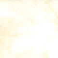108 Primitive Muslin Tallow fabric