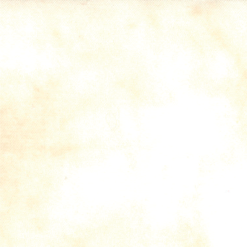 108 Primitive Muslin Tallow fabric