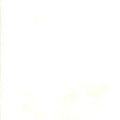 Grunge Basics Eggshell fabric